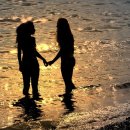 황금고양이 이미지