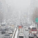 경기도 수원시 팔달구 경수대로 이미지