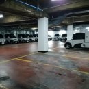 강남-151 이미지