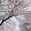 삼문강변로 이미지