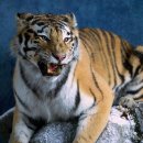 강산메디칼 이미지