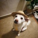 답십리한의원 이미지