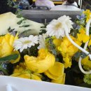 한성모터스(주) | [출산휴가] 육아휴직 일기 (25년 11월_34주)