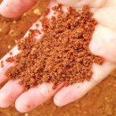 화강황토 이미지