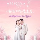 연은 결혼정보 이미지