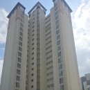 고실마을(휴먼시아8단지) | 광주 방충망 광산구 장덕동 고실마을 휴먼시아 고양이방묘창 시공으로 안전하고 쾌적한 생활