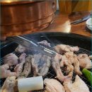 연화계야당