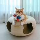 숨숨집 | 고양이 장난감 후기 숨숨집 겸용 소심한호랑이 버터링 원형 터널