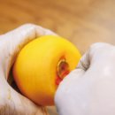 김종현 농장 이미지