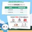 환동해포항서핑클럽