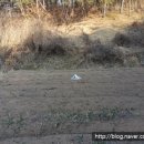 사봉경로당 이미지