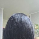 김성희헤어샵 네이버블로그