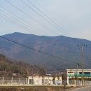 캠프 뽀미에 이미지