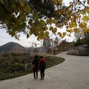 바람흔적미술관 티스토리