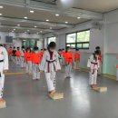 강담태권도 이미지