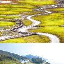 태평보석