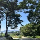 보나의언덕 이미지