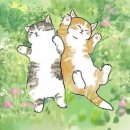 광명서초등학교 이미지