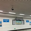 [대련 여행] 대련 공항, 아시아나 OZ378 기내식 후기