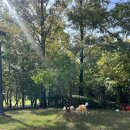 문화센터야외화장실 이미지