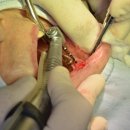 최광식치과의원 이미지