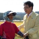 강진-11 이미지