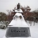 고목 - 창원시 성산구 | 고목