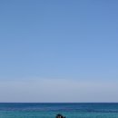 성호목장 이미지