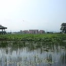 연꽃방죽체육공원 이미지