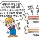 사주명리학(기초반) 이미지