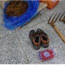 담양인삼