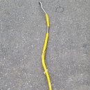 대아아파트 이미지