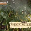 파주파전 이미지