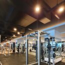 알통클럽 이미지