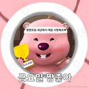 메아리작은도서관 | [25.04] 봄인지 겨울인지 지구도 헷갈려하는 요즘