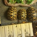 금 강  1 이미지