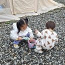 피노키오 놀이터 | 원주 캠핑장 추천 키즈카페 숲놀이터 키즈캠핑장 | 피노키오숲