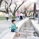 수안보로 이미지