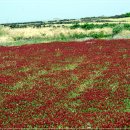 우도기행 이미지