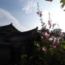 보금자리민박 이미지