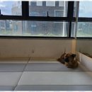 아벨짐 하남미사점 이미지