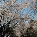 천주산 입구 이미지