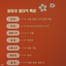 매화난만梅花爛漫(1) 양산시립박물관 개관 10주년기념 특별기획전