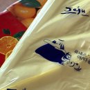 바람난강아지 | 강아지보단 난 느슨한 해파리가 좋아