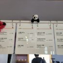동백에쏘피리언스