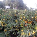 하임농장 이미지