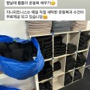 지니피트니스 이미지