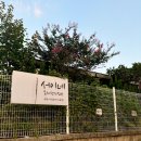 2491민박 이미지