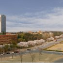 영남대학교 이미지