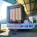 단양죽령사과 이미지